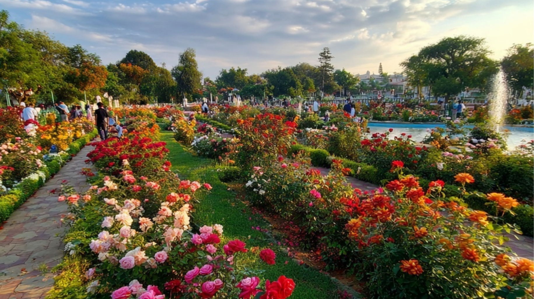 Rose Garden (Zakir Rose Garden)